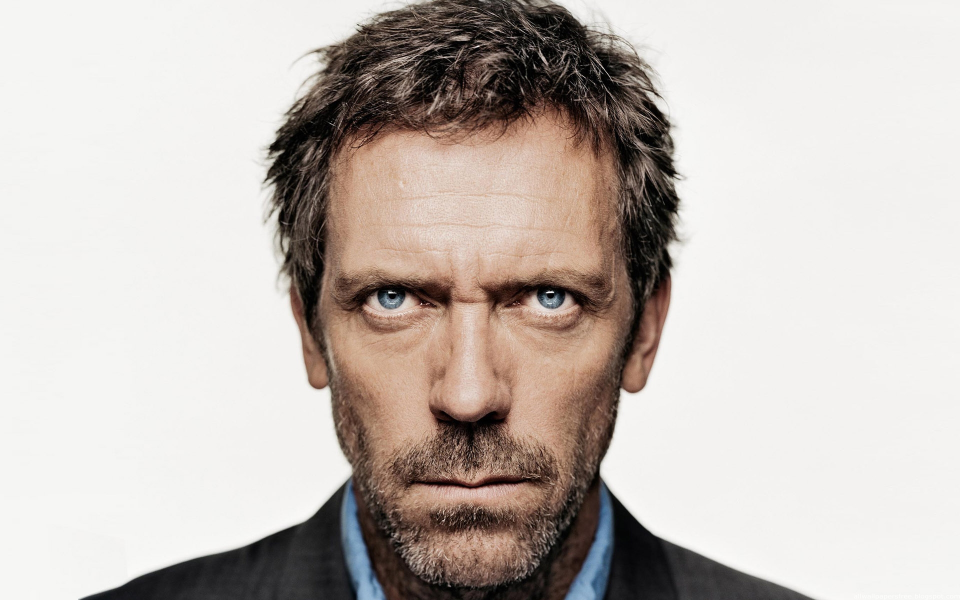 watch house md netflix